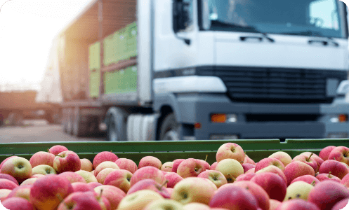 Implementing new and efficient processes with customized apps