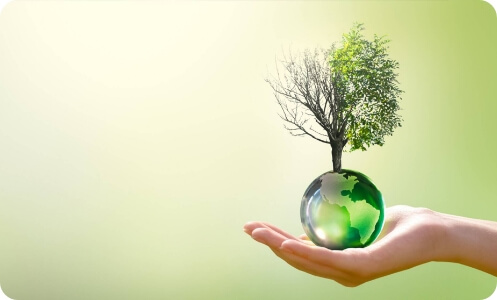 Bosch Tech Compass: 80% Indians believe technology will play a key role in combating climate change