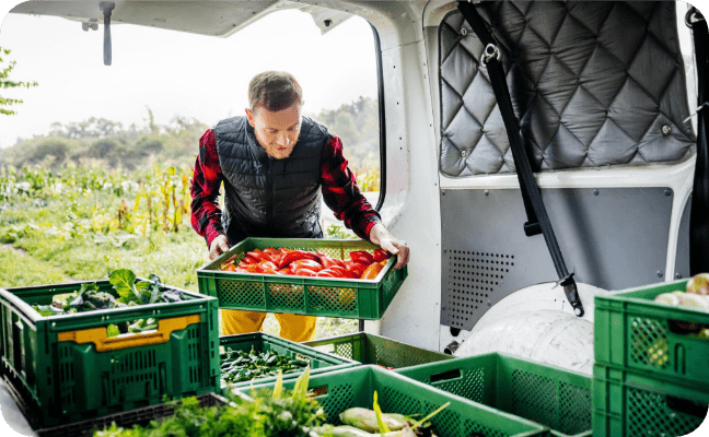 Bosch Truefood+ 