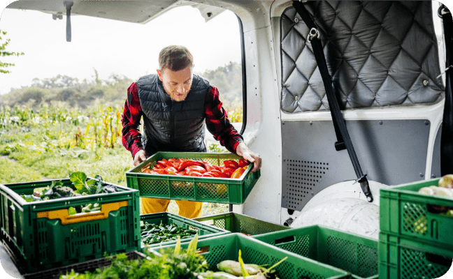 Bosch Truefood+ 