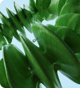 Embrace Sustainability