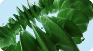 Embrace sustainability