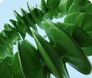 Scaling sustainability