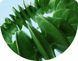 Embrace sustainability