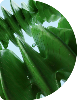 Embrace sustainability